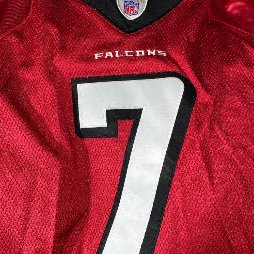 Michael Vick - Picture 7 of 7